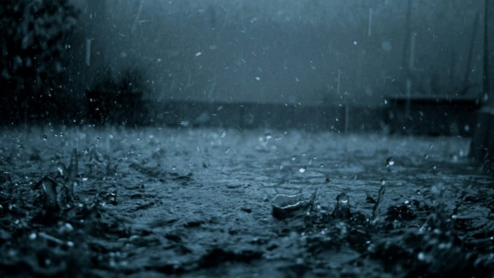 Por las fuertes lluvias declararon emergencia agropecuaria en la Provincia y San Juan